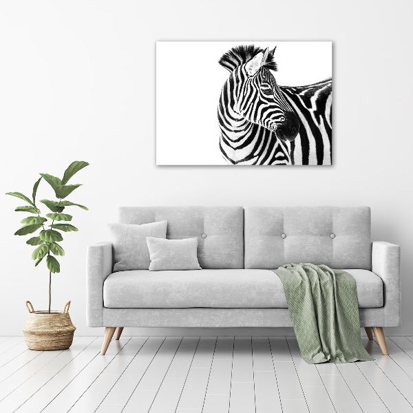 Foto obraz canvas Zebra ve sněhu