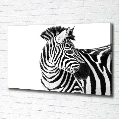 Foto obraz canvas Zebra ve sněhu