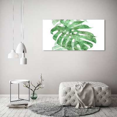 Foto obraz na plátně do obýváku Monstera