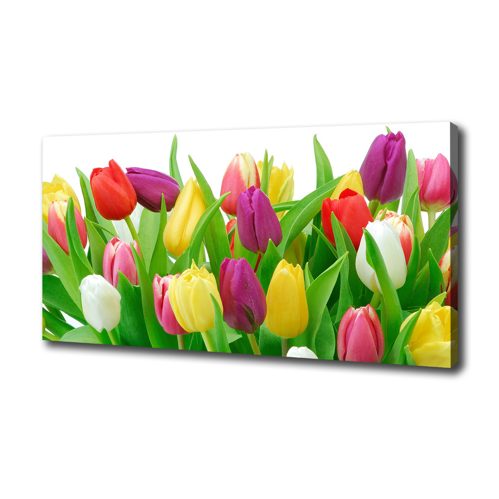 Moderní obraz canvas na rámu Barevné tulipány