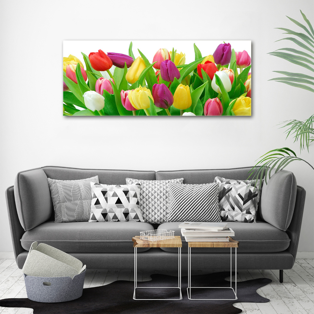 Moderní obraz canvas na rámu Barevné tulipány