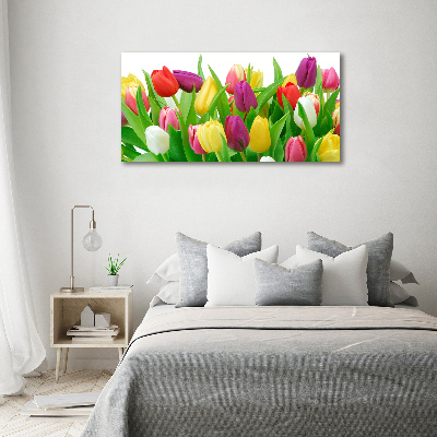 Moderní obraz canvas na rámu Barevné tulipány