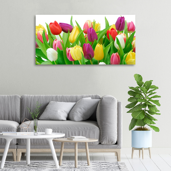 Moderní obraz canvas na rámu Barevné tulipány