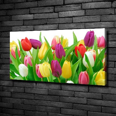 Moderní obraz canvas na rámu Barevné tulipány