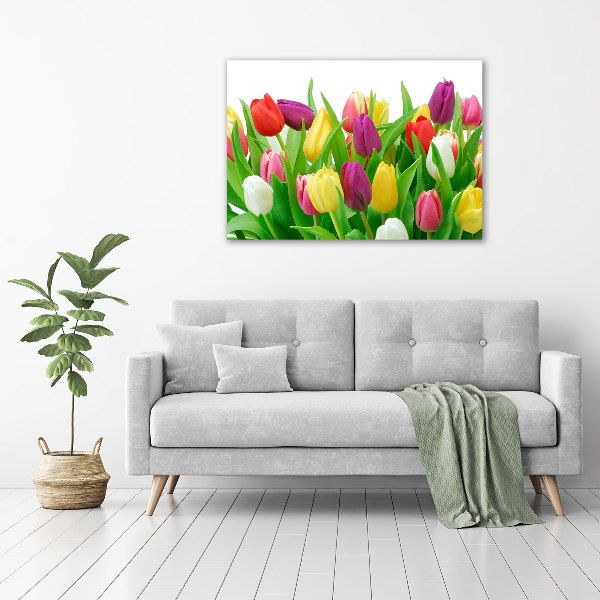 Moderní obraz canvas na rámu Barevné tulipány