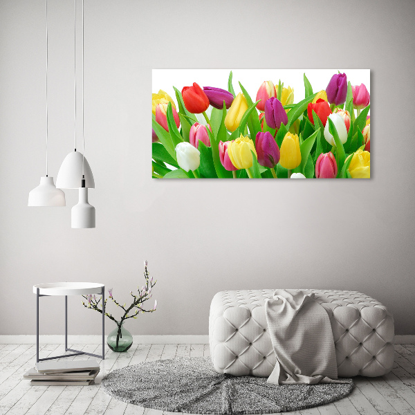 Moderní obraz canvas na rámu Barevné tulipány