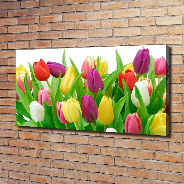 Moderní obraz canvas na rámu Barevné tulipány