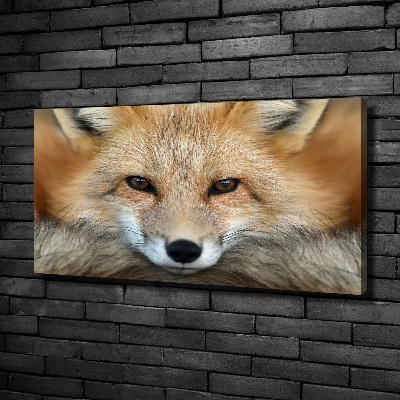 Foto obraz na plátně do obýváku Liška