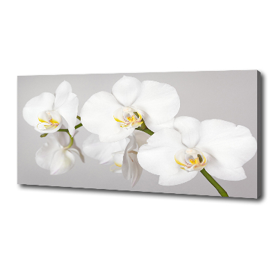 Foto obraz canvas Orchidej