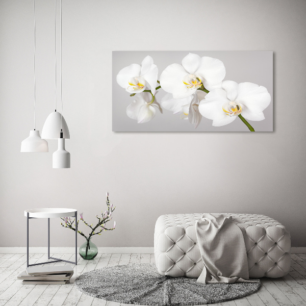 Foto obraz canvas Orchidej