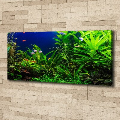 Foto obraz na plátně Ryby v akvárium