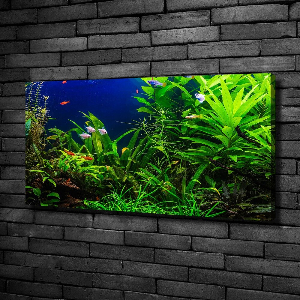 Foto obraz na plátně Ryby v akvárium