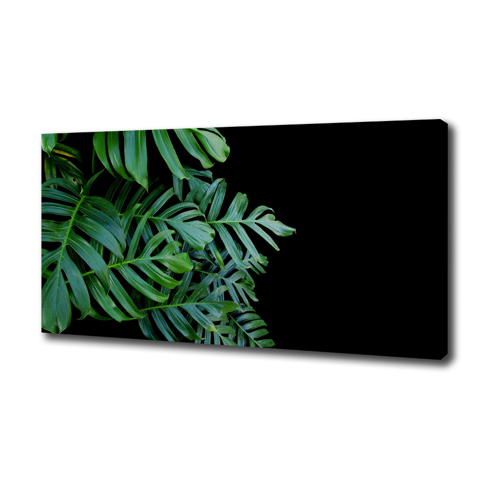 Foto-obraz canvas do obýváku Monstera