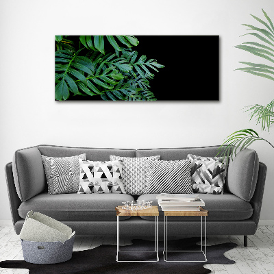 Foto-obraz canvas do obýváku Monstera