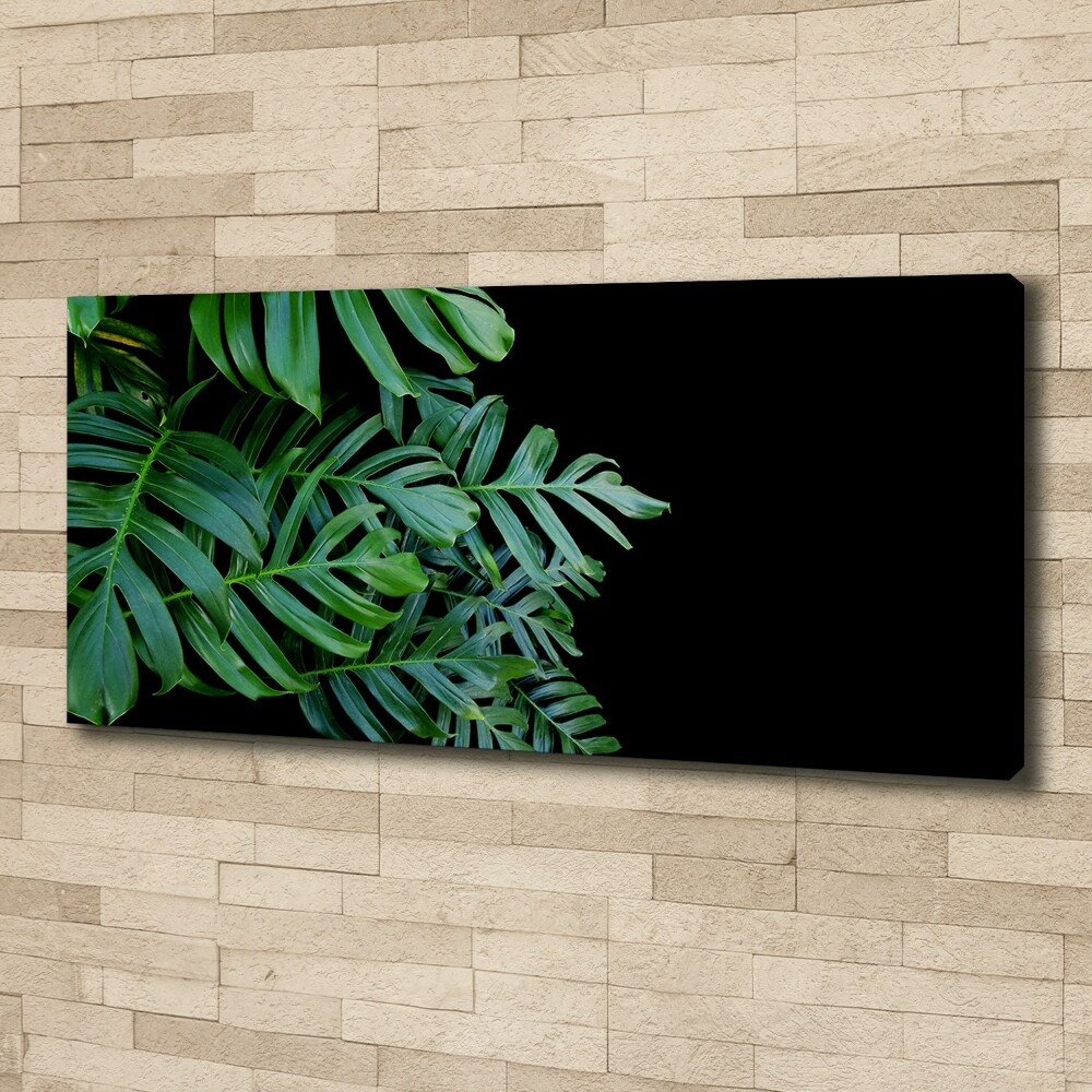 Foto-obraz canvas do obýváku Monstera