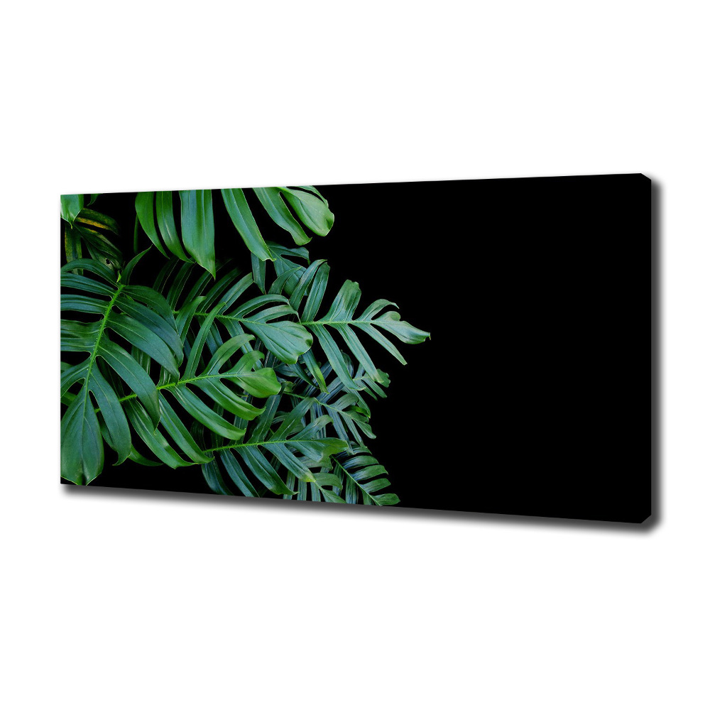 Foto-obraz canvas do obýváku Monstera