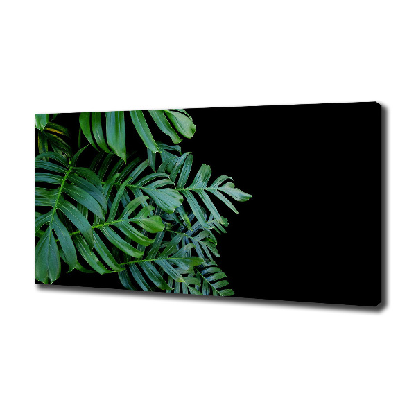 Foto-obraz canvas do obýváku Monstera