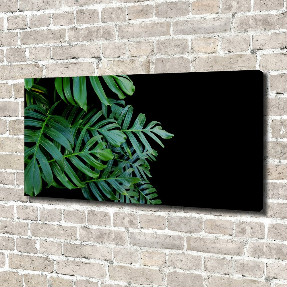 Foto-obraz canvas do obýváku Monstera