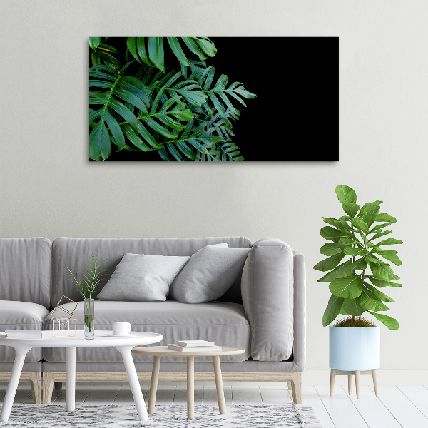 Foto-obraz canvas do obýváku Monstera