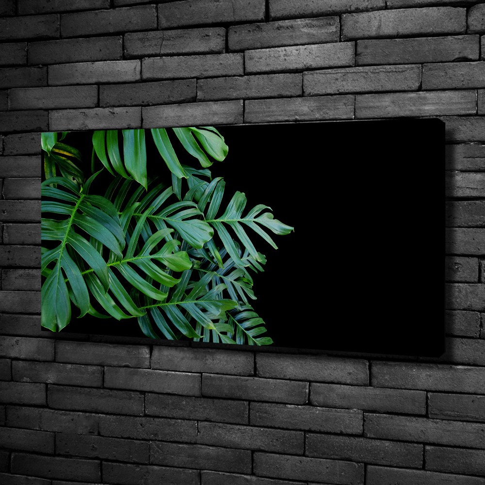 Foto-obraz canvas do obýváku Monstera