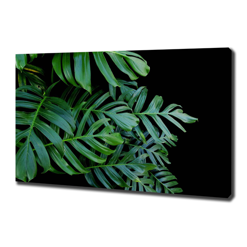 Foto-obraz canvas do obýváku Monstera