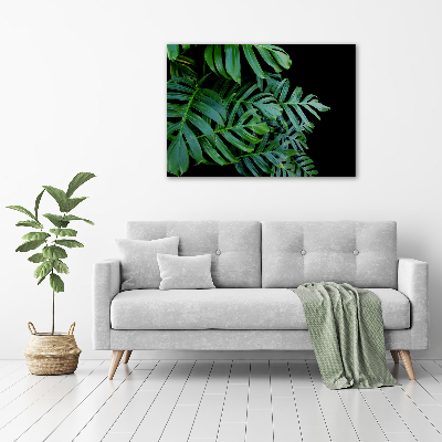 Foto-obraz canvas do obýváku Monstera