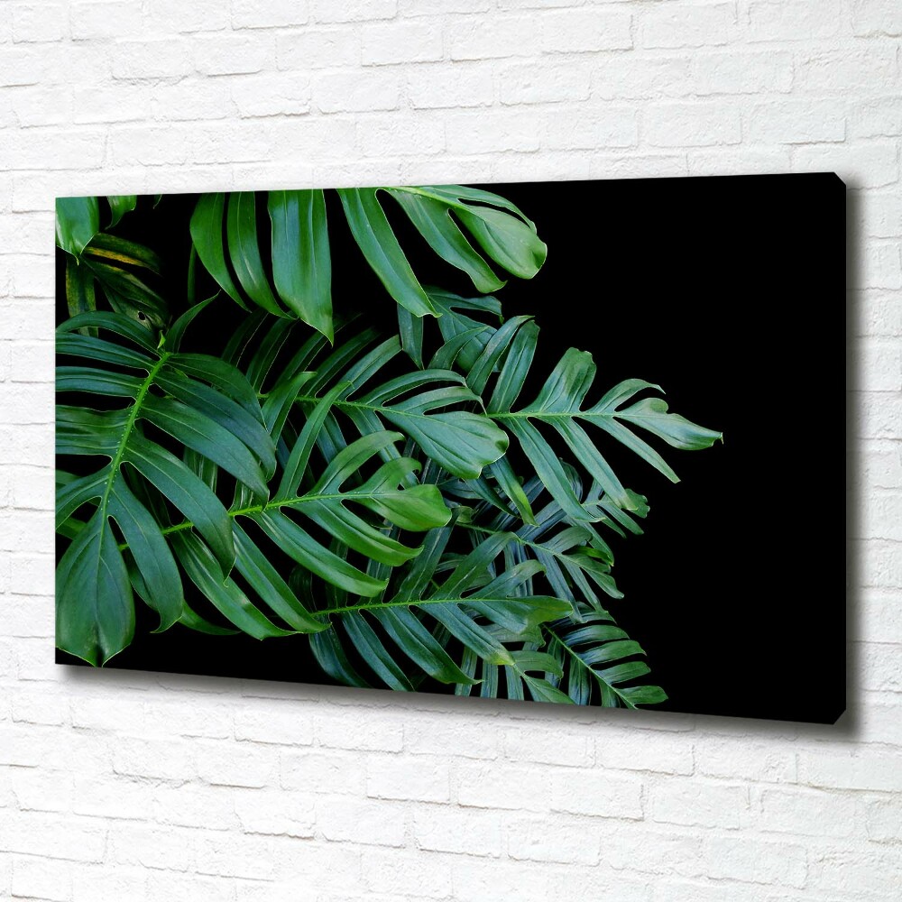 Foto-obraz canvas do obýváku Monstera