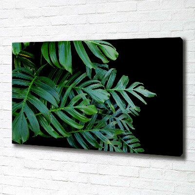 Foto-obraz canvas do obýváku Monstera