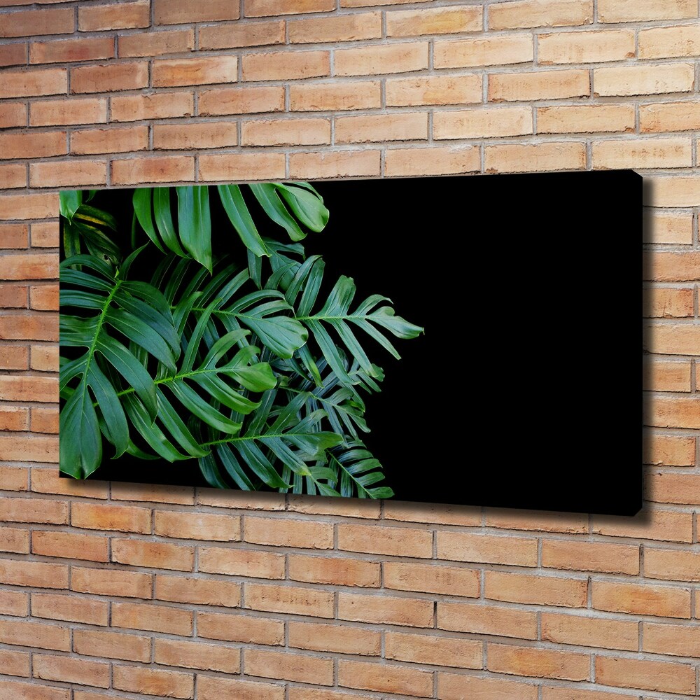 Foto-obraz canvas do obýváku Monstera