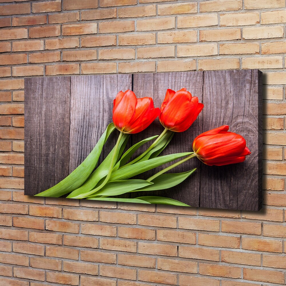 Foto obraz na plátně Červené tulipány