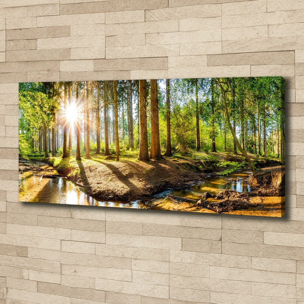 Foto obraz na plátně do obýváku Panorama les
