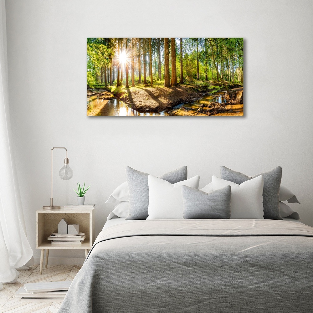 Foto obraz na plátně do obýváku Panorama les