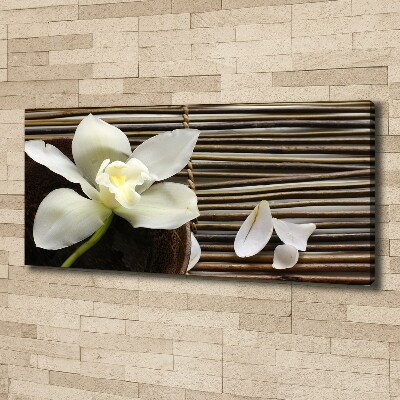 Foto obraz canvas Orchidej