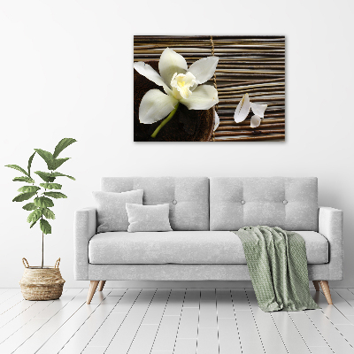 Foto obraz canvas Orchidej