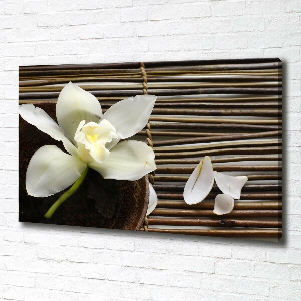 Foto obraz canvas Orchidej