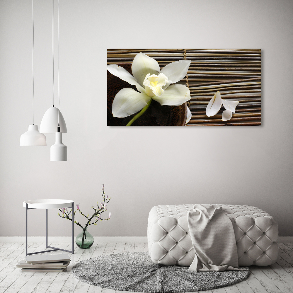 Foto obraz canvas Orchidej