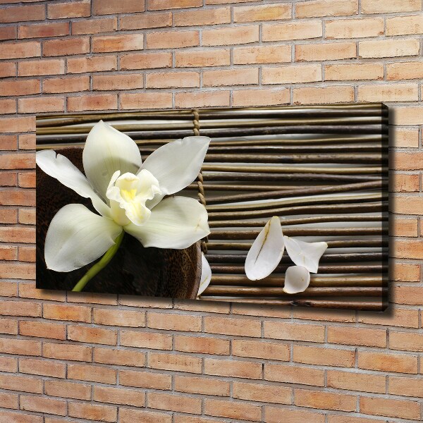 Foto obraz canvas Orchidej