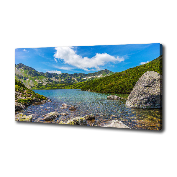 Foto obraz na plátně Údolí Tatry