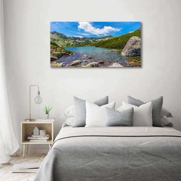 Foto obraz na plátně Údolí Tatry