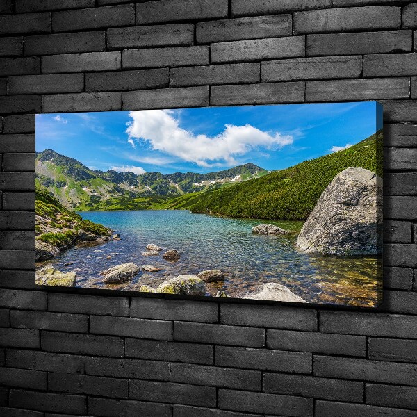 Foto obraz na plátně Údolí Tatry
