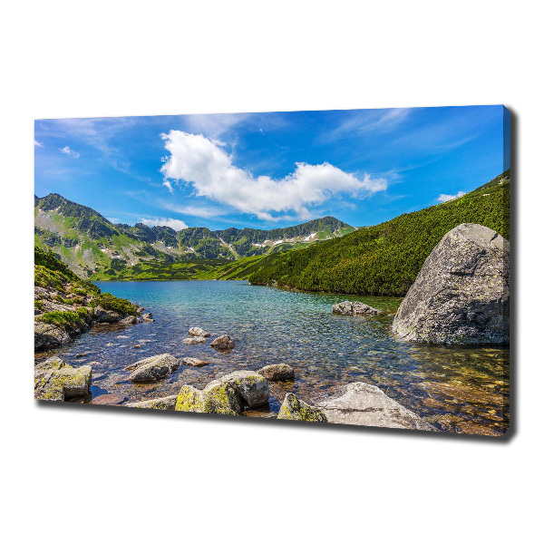 Foto obraz na plátně Údolí Tatry