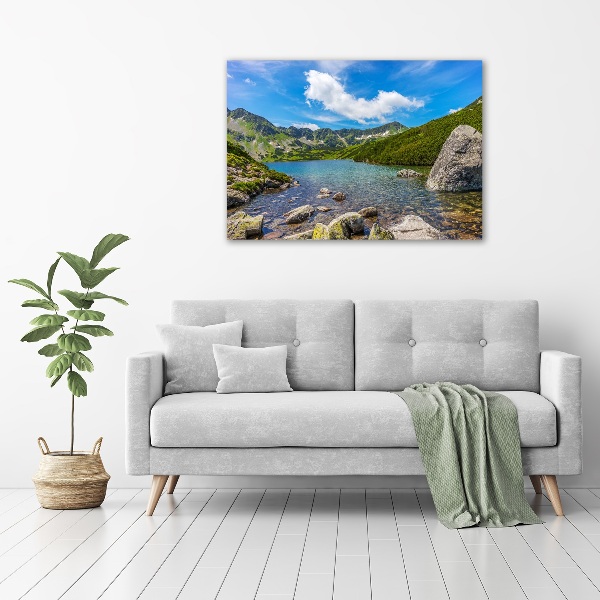 Foto obraz na plátně Údolí Tatry
