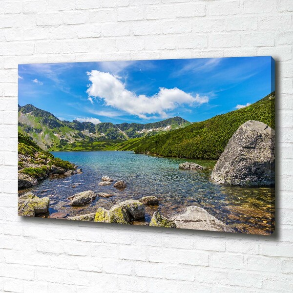 Foto obraz na plátně Údolí Tatry
