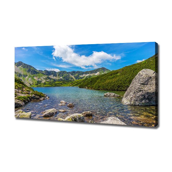 Foto obraz na plátně Údolí Tatry