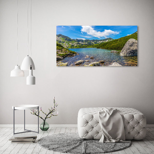 Foto obraz na plátně Údolí Tatry