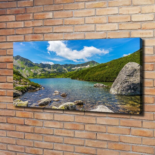 Foto obraz na plátně Údolí Tatry