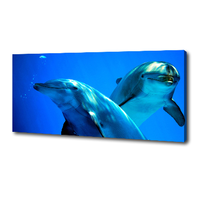 Moderní fotoobraz canvas na rámu Dva delfíni
