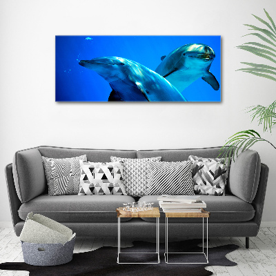 Moderní fotoobraz canvas na rámu Dva delfíni