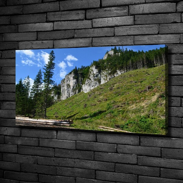 Foto obraz na plátně Skalní vrcholky