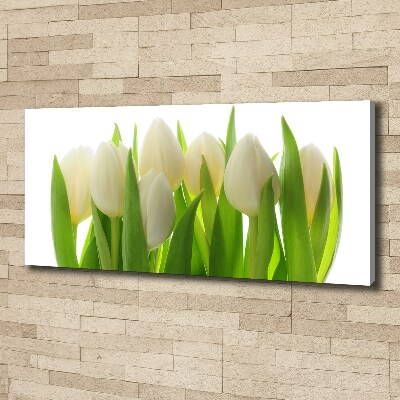 Foto obraz na plátně Tulipány